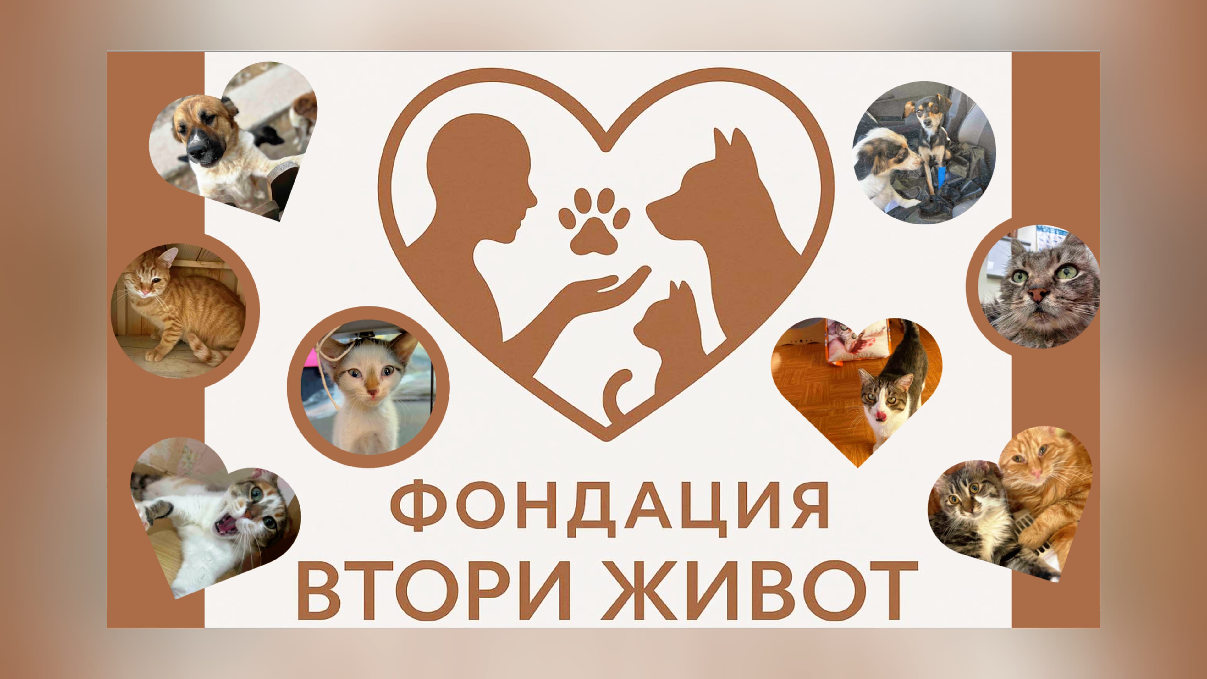 Фондация Втори Живот - За Нас